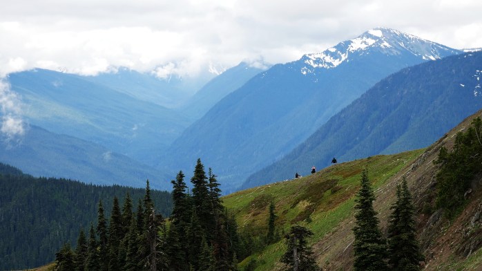 Hurricane Ridge