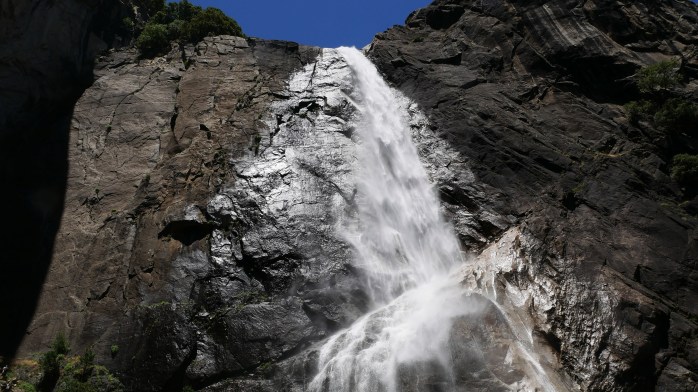 Lower Yosemite Fall
