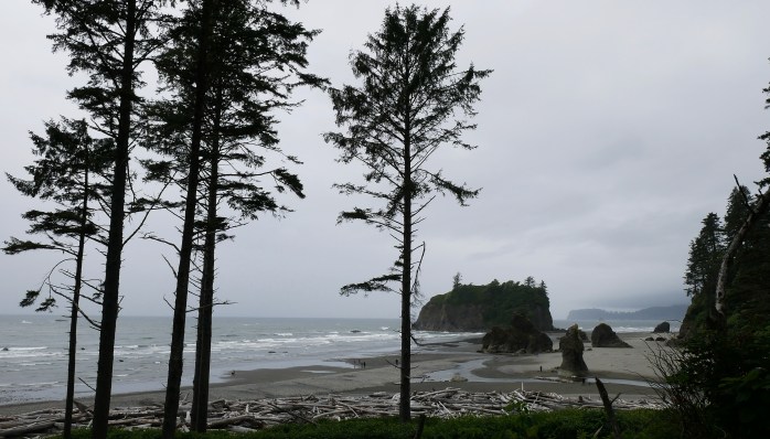 Olympic Coast