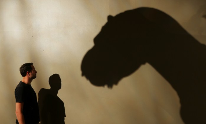 Dino Shadow